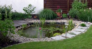 Декоративното езеро в градината е като огледалото във вашия дом