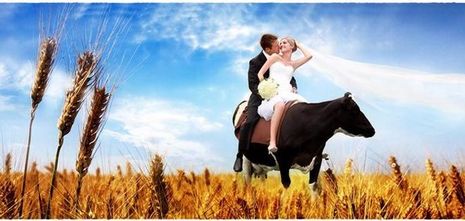 Всяка жена мечтае как нейният принц ще дойде някой ден на бял кон и ще я дари с любов и щастие