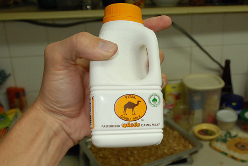 На вкус камилското мляко напомня малко на обезмасленото мляко, но не е сладко 