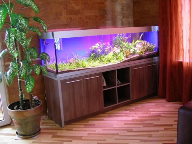 Осветен аквариум