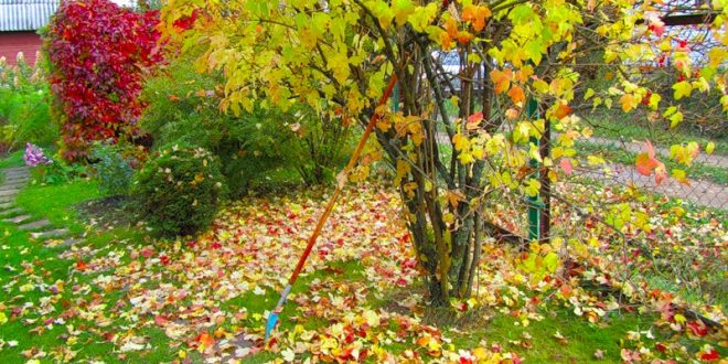 Есен на двора