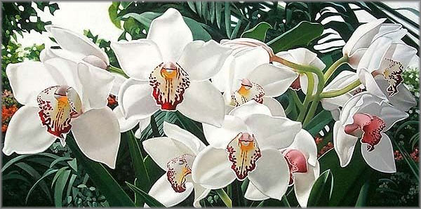 Орхидеи Cymbidium
