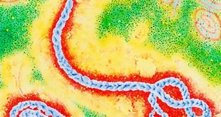 Вирусът ебола
