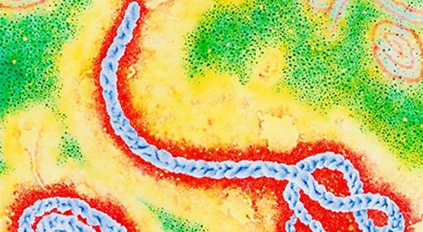 Вирусът ебола